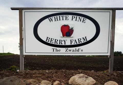 Take The Whole Family On A Day Trip To This Pick-Your-Own Strawberry Farm In Wisconsin