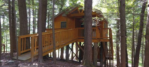 The Rustic Tree House Village In West Virginia Is Like No Other You've Seen Before