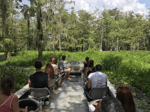 There’s A Pontoon Boat Tour In Louisiana That Will Take You On A Water Adventure Like No Other