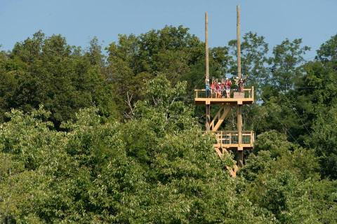 This Two-Hour Canopy Tour Will Zip You Through An Arkansas Forest