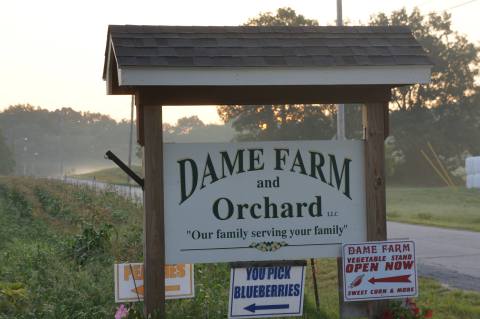 You Can Pick The Most Delicious Fruits All Summer Long At This Rhode Island Orchard