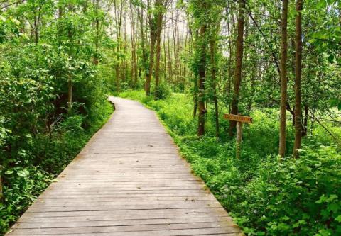 This 3-Mile Hike In Wisconsin Takes You Through An Enchanting Forest