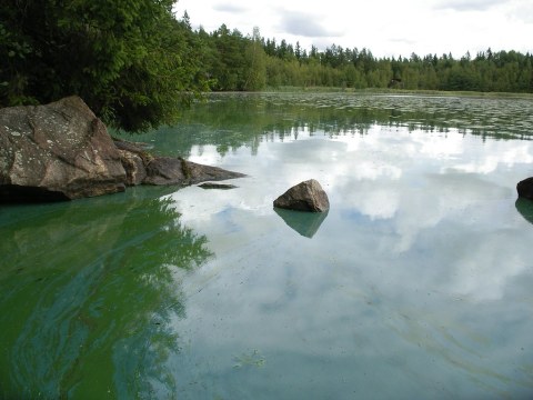 Swimming In These New Jersey Lakes Is Prohibited Due To A Dangerous Discovery