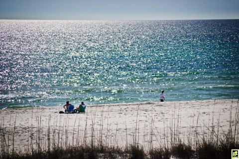 This Singing Beach In Florida Needs To Be Experienced To Be Believed