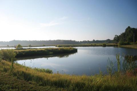 Spend The Day In Kentucky's Only National Wildlife Refuge For An Otherworldy Experience