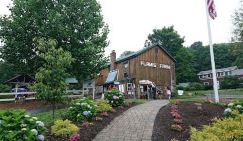 Flamig Farm Is A Small-Town Petting Zoo In Connecticut That’s Worthy Of A Road Trip