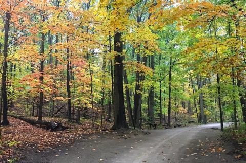 The Native American Dwelling Site Found Near Cleveland Is A Historical Wonder