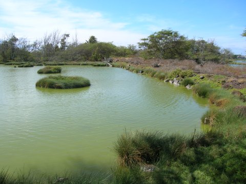 Get Away From It All At This Wildlife Refuge Tucked Away In Hawaii