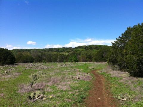 The Secret Waterfall In Austin That Most People Don’t Know About