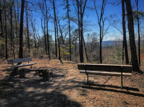 Take An Unforgettable Hike To The Top Of Louisiana's Highest Mountain