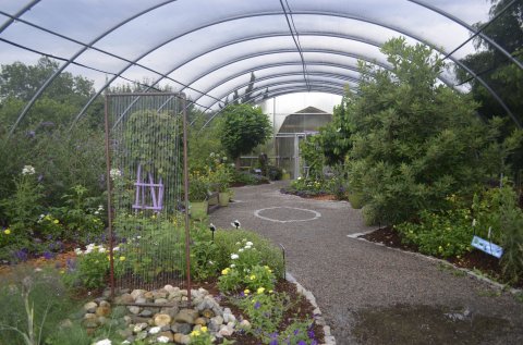 The Largest Butterfly House In Virginia Is A Magical Way To Spend An Afternoon