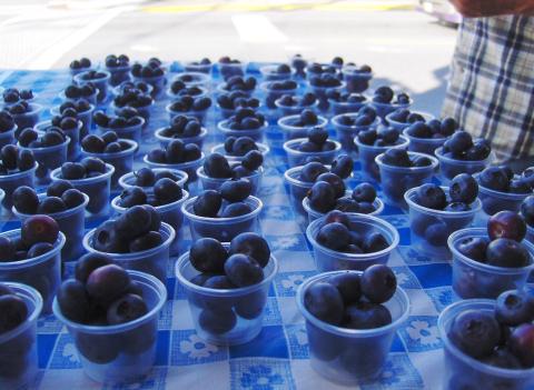 You Can Eat Endless Blueberries At This Juicy Summer Festival In Vermont