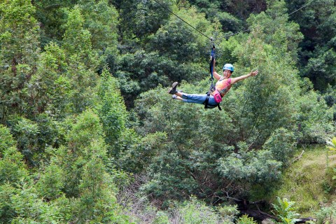 This Zipline And Farm In Arkansas Is A Ridiculously Fun Experience