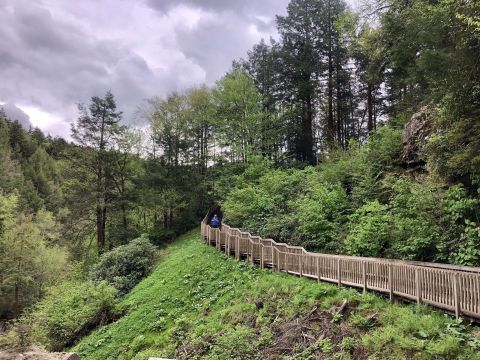 This Easy Hike In West Virginia Is Less Than A Mile And Takes You To A Pretty Waterfall