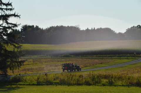 Road Trip From Cleveland To This Historic Farm For An Epic Adventure That Won't Cost You A Dime