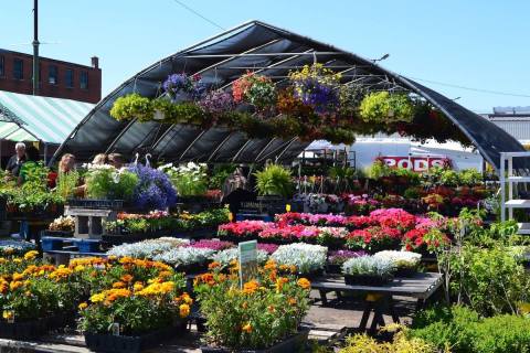 An Enormous Roadside Market, Clinton Bailey Farmers Market In Buffalo Is Too Good To Pass Up