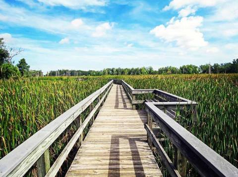 This Beautiful And Scenic Trail In Buffalo Is Perfect For Beginners