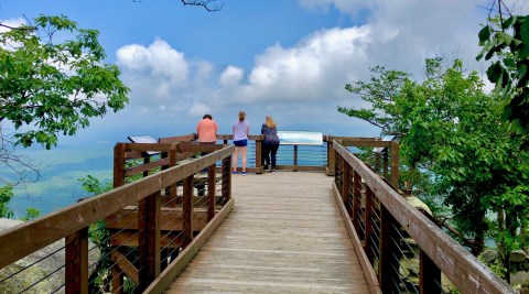 The Boardwalk Hike In Alabama That Leads To Incredibly Scenic Views