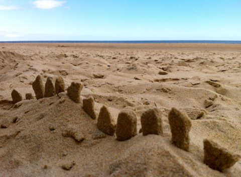 Search For Shark Teeth At This One Beautiful Beach In Delaware