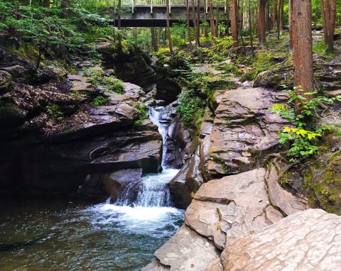 The Hike To This Pretty Little Pennsylvania Waterfall Is Short And Sweet