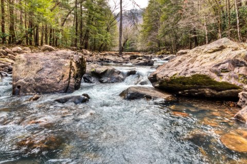 Swim Underneath A Waterfall At This Refreshing Natural Pool In Tennessee