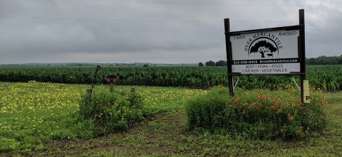 You'll Have Loads Of Fun At This Dairy Farm Near Austin With Incredible Cheese And Produce