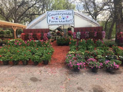 This Enormous Roadside Farmers Market In Minnesota Is Too Good To Pass Up