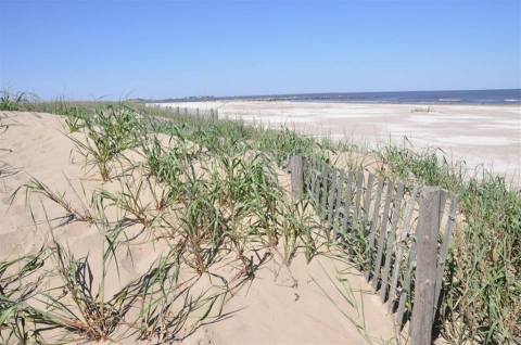 One Of The Most Remote Beaches In Louisiana Is Also The Most Magnificent