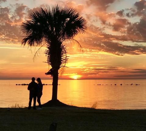 The Views From This Secluded Beach In Louisiana Are Positively Amazing