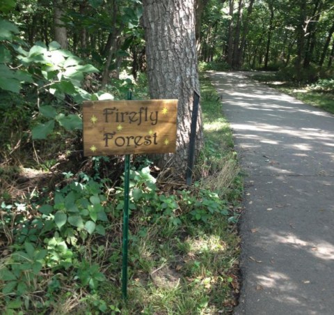 The Enchanting Forest Trail In Kansas That Inspired An Award Winning Short Film