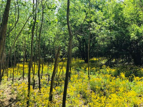 The Magnificent Overlook In Kansas That’s Worthy Of A Little Adventure