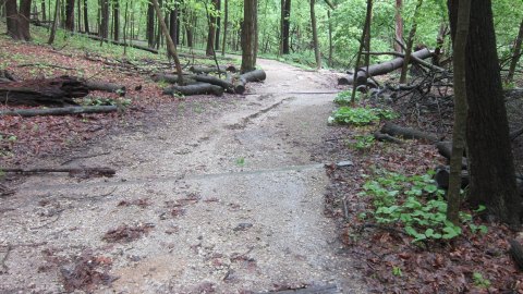 Explore 7 Miles Of Beautiful Trails In This Illinois Nature Park With Great Wildlife Views