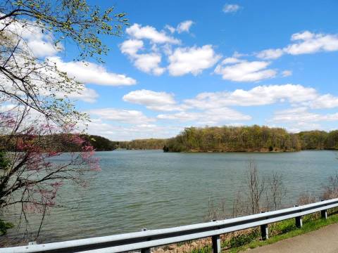 This 1,000-Acre Park In Illinois Has The Most Fascinating History