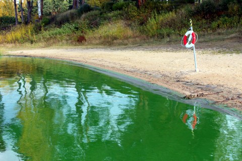 These 15 Vermont Beaches Have Just Been Put On Advisory Due To Dangerous Bacteria