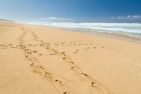 This Singing Beach In Hawaii Needs To Be Experienced To Be Believed