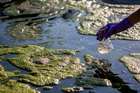 These 4 Massachusetts Beaches Have Just Been Put On Advisory Due To Dangerous Bacteria