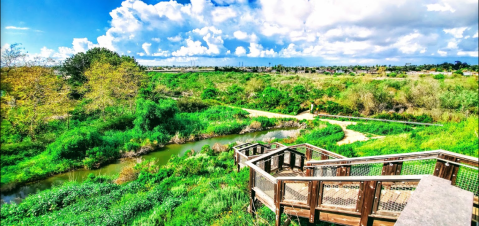 The Picturesque Nature Park In Southern California That Will Bring Out The Explorer In You