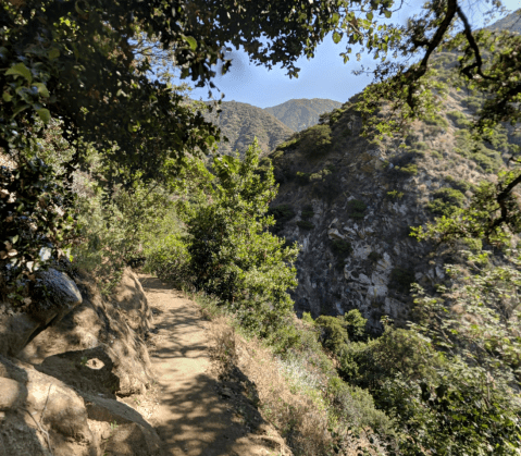 This 3.5-Mile Hike In Southern California Takes You Through An Enchanting Forest