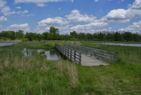 The Beautiful Bridge Hike Near Detroit That Will Completely Mesmerize You