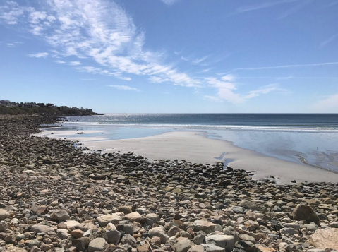 This Little Known Beach In Maine Is Perfect For Finding Loads Of Sand Dollars