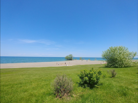 You’ll Want To Visit This Beach Near Buffalo For The Most Beautiful Beach Glass