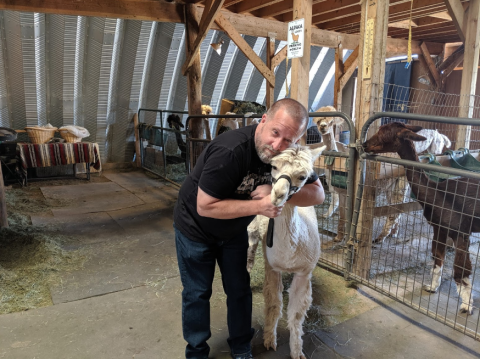 Visit This Middle-Of-Nowhere Arizona Alpaca Farm For An Adorable Adventure