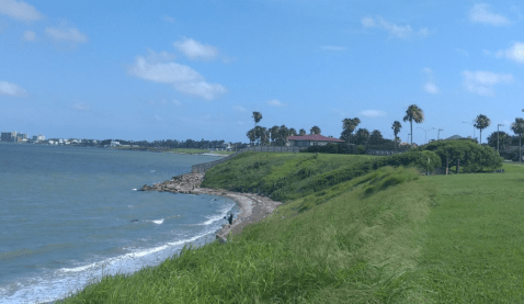 Fecal Bacteria Has Reached Unsafe Levels On 85% Of Beaches In Texas