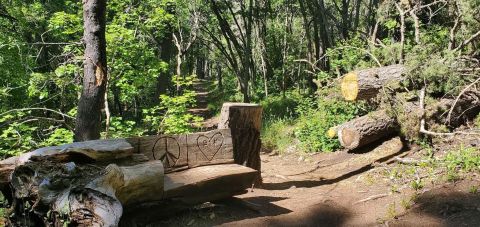 This Beautiful And Scenic Trail In New Mexico Is Perfect For Beginners