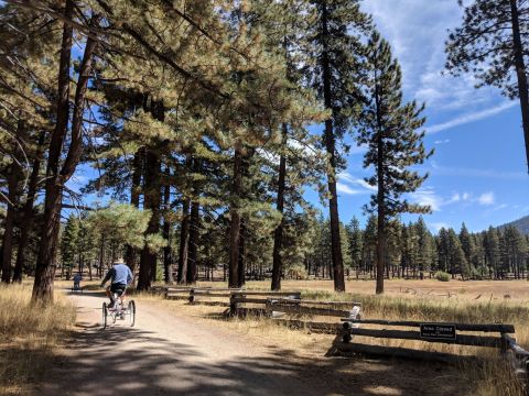 This Family-Friendly Trail In Nevada Leads You Straight To A Blissful Sandy Beach