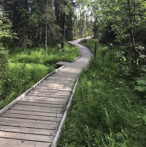 You'll Want To Hike This Easy Loop Through A Stunning National Wildlife Refuge In Alaska