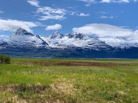 Take This Scenic Trail Through Meadows Filled With Alaskan Wildflowers For An Enchanting Adventure