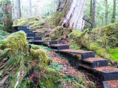 Take This Easy Little Hobbit's Trail To A Secret Waterfall