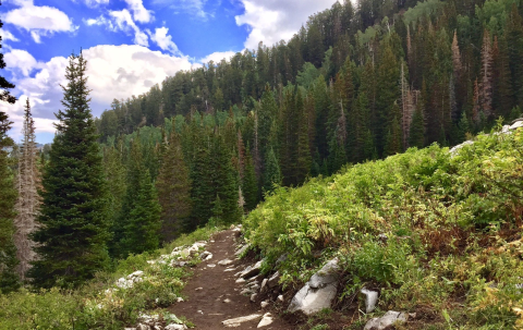 This Beautiful And Scenic Trail In Utah Is Perfect For Beginners