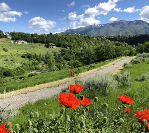 This Pretty Parkway Trail In Utah Is Perfect For Everyone